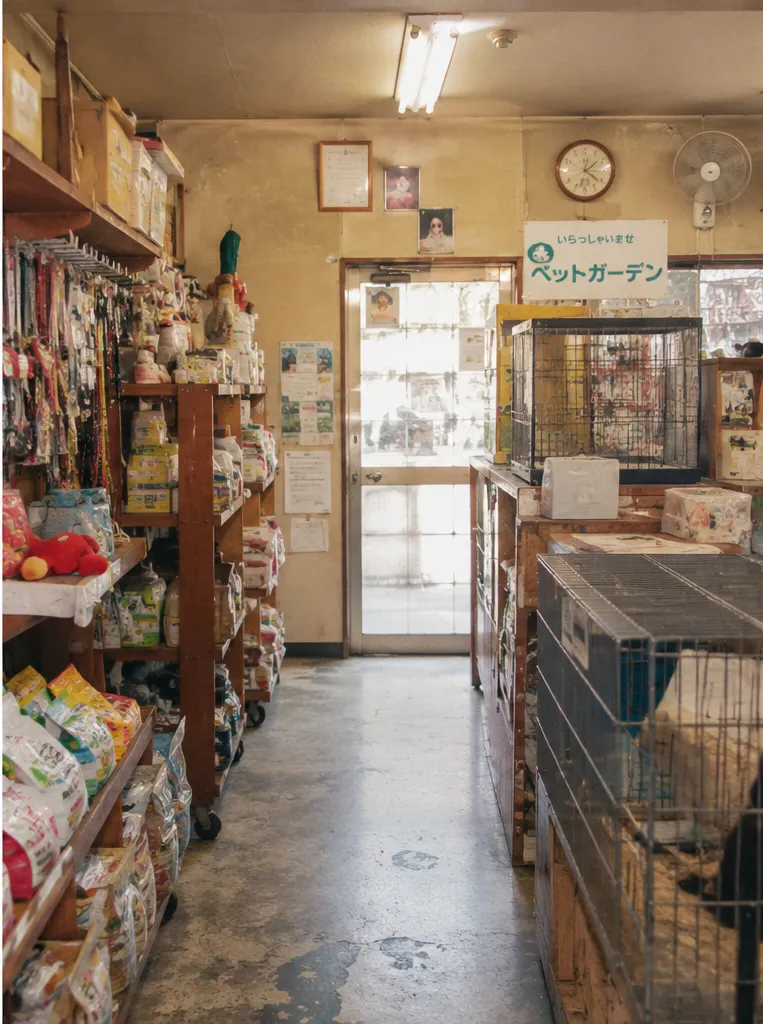 昔ながらのあたたかなペットショップ店内
